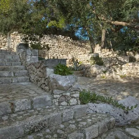 Antica Pajara