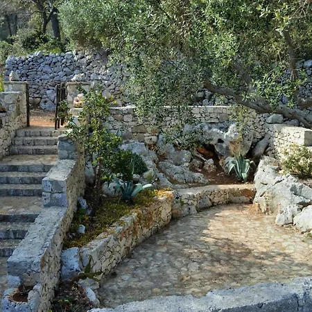 Antica Pajara *