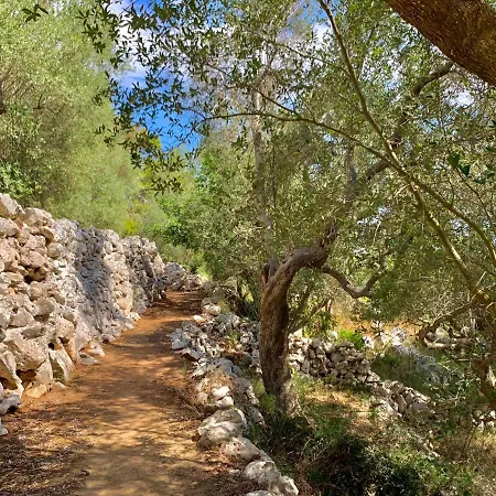 Antica Pajara Marittima